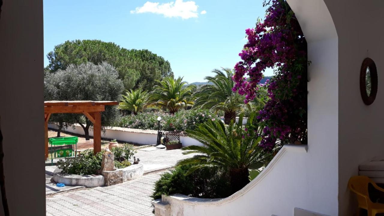 Villa Cristalda Vieste Esterno foto